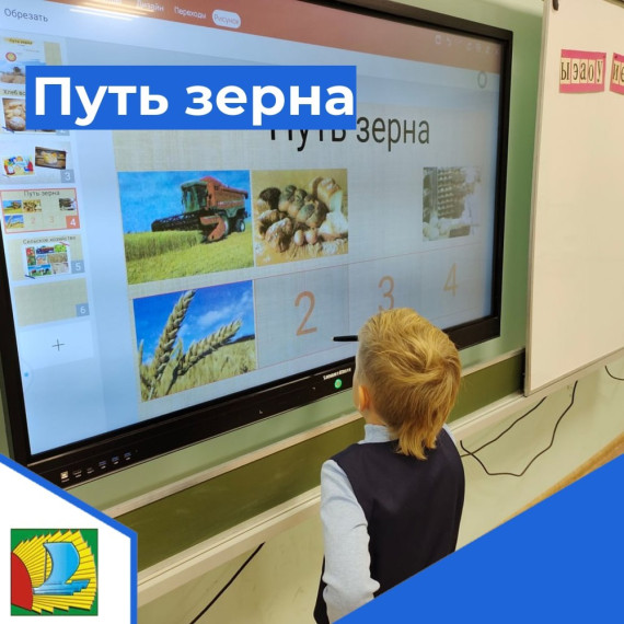 Путь зерна.